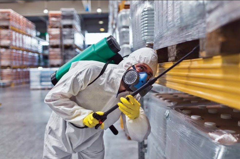 Pest Control – fortuneglobal.id Pest Control - fortuneglobal.id