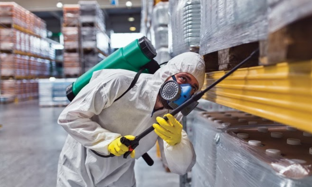 Pest Control - fortuneglobal.id